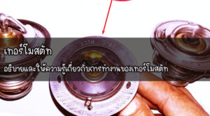 เทอร์โมสตัท